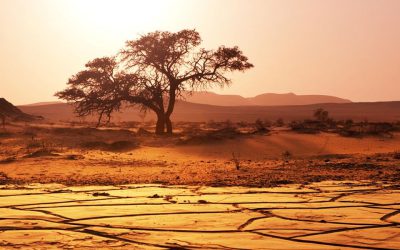 Bracing for the Storm: Mitigating Climate Change’s Impact on Zoonotic Diseases in Sub-Saharan Africa